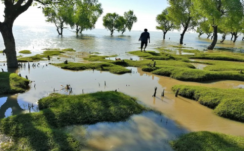গুলিয়াখালী সমুদ্র সৈকতে সাঁতার কাটতে গিয়ে জোয়ারের পানিতে ভেসে গেল পর্যটক